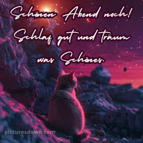 Schönen dienstag abend gute nacht bild 3 kostenlos