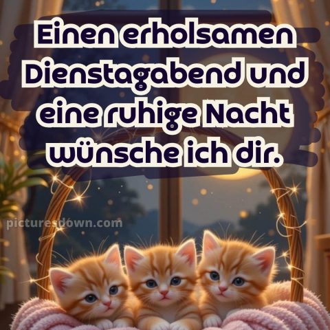 Schönen dienstag abend gute nacht bild 4 kostenlos