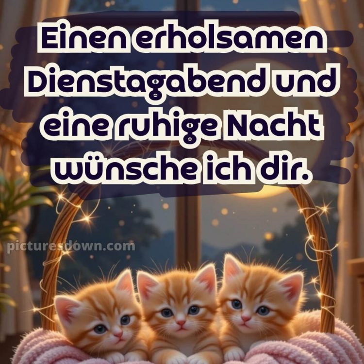 Schönen dienstag abend gute nacht bild 4 kostenlos