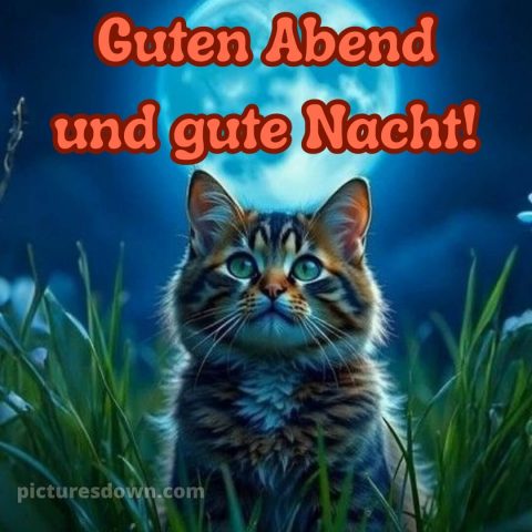 Schönen dienstag abend gute nacht bild 5 kostenlos