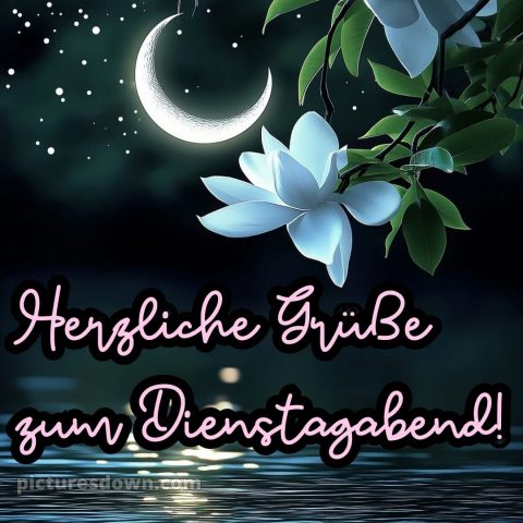 Schönen dienstag abend gute nacht bild 6 kostenlos