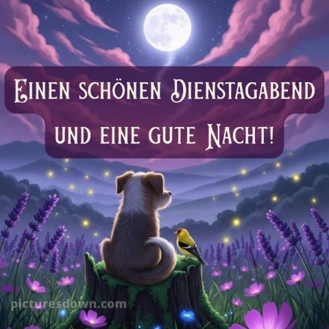 Schönen dienstag abend gute nacht bild 8 kostenlos
