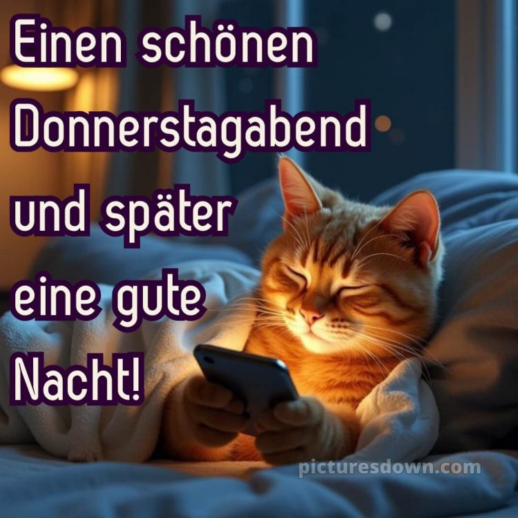 Schönen donnerstag abend und später eine gute nacht bild 12 kostenlos