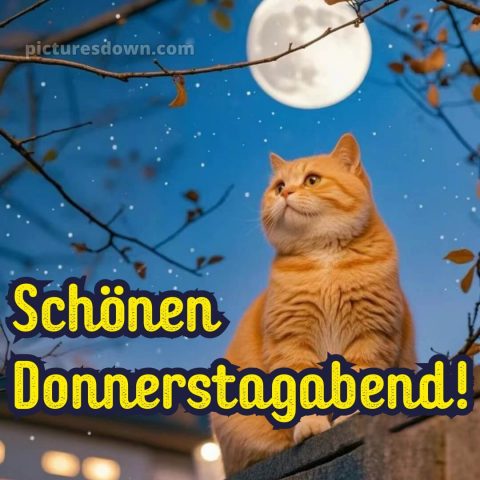 Schönen donnerstag abend und später eine gute nacht bild 4 kostenlos