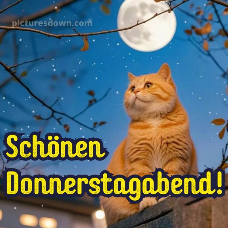 Schönen donnerstag abend und später eine gute nacht bild 4 kostenlos