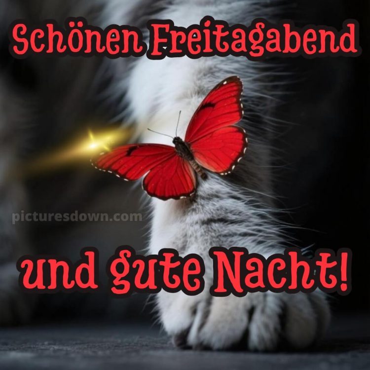 Schönen freitag abend und später eine gute nacht bild 10 kostenlos