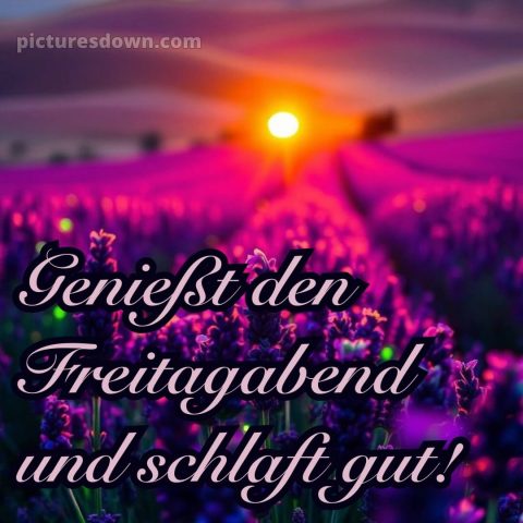 Schönen freitag abend und später eine gute nacht bild 14 kostenlos