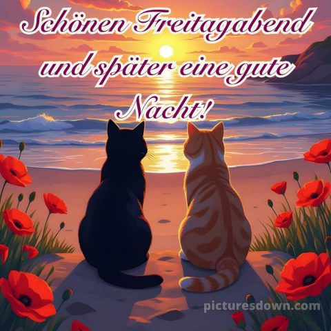 Schönen freitag abend und später eine gute nacht bilder bild 12 kostenlos