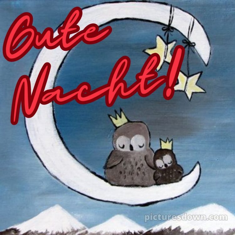 Schönen freitag abend und später eine gute nacht bilder bild 15 kostenlos