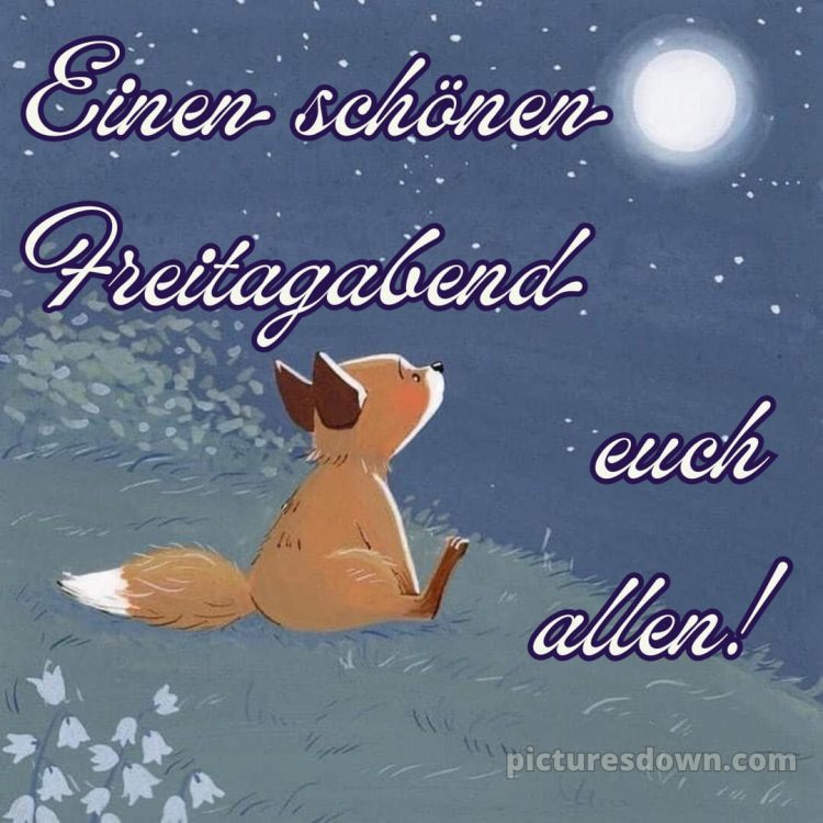 Schönen freitag abend und später eine gute nacht bilder bild 5 kostenlos