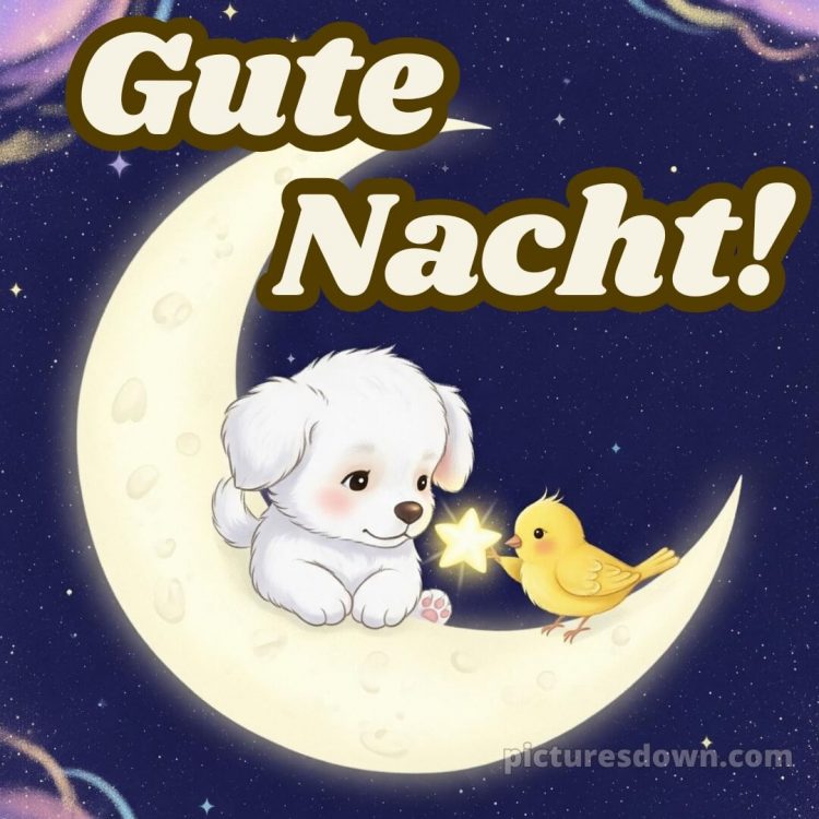 Schönen freitag abend und später eine gute nacht bilder bild 8 kostenlos