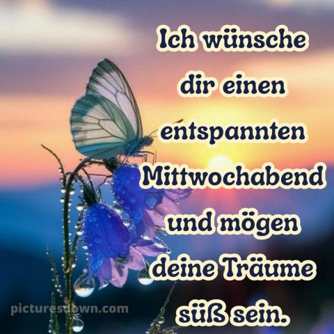 Schönen mittwoch abend und gute nacht bild 1 kostenlos