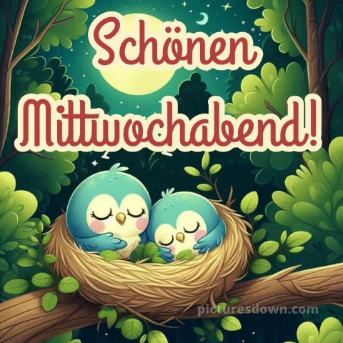 Schönen mittwoch abend und gute nacht bild 11 kostenlos