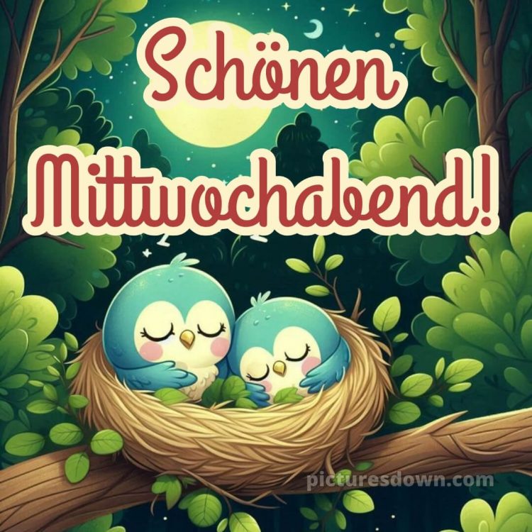 Schönen mittwoch abend und gute nacht bild 11 kostenlos