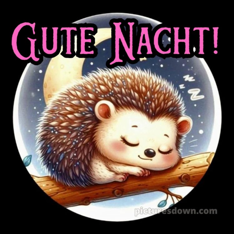 Schönen mittwoch abend und gute nacht bild 12 kostenlos