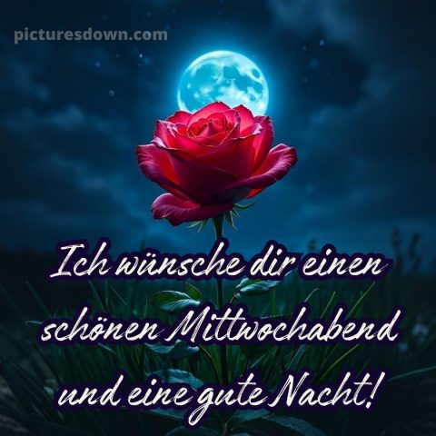 Schönen mittwoch abend und gute nacht bild 14 kostenlos