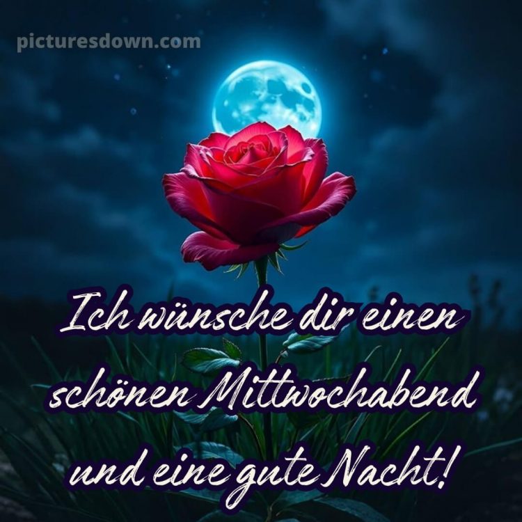 Schönen mittwoch abend und gute nacht bild 14 kostenlos