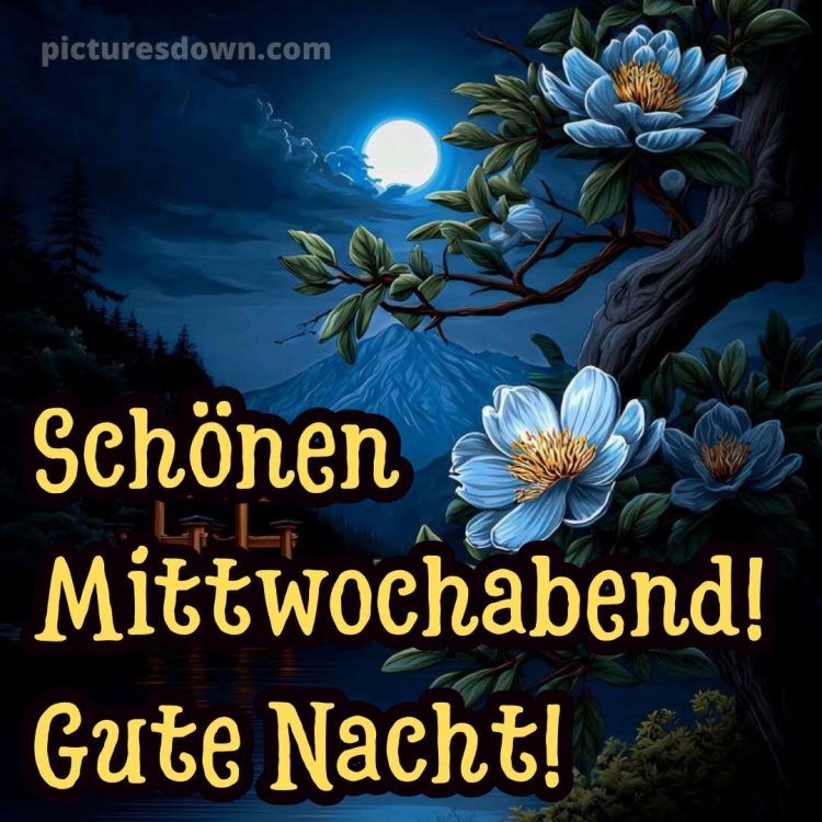Schönen mittwoch abend und gute nacht bild 15 kostenlos