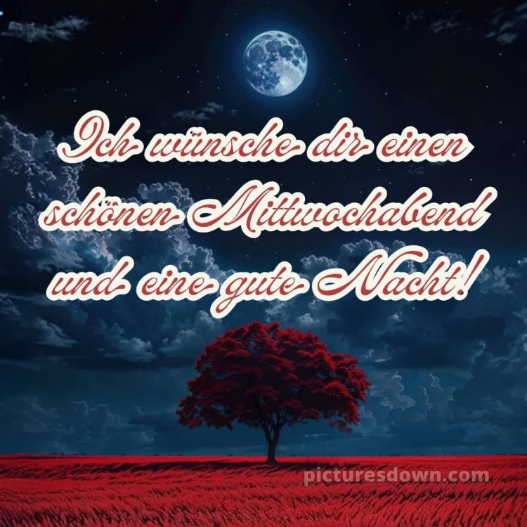 Schönen mittwoch abend und gute nacht bild 7 kostenlos