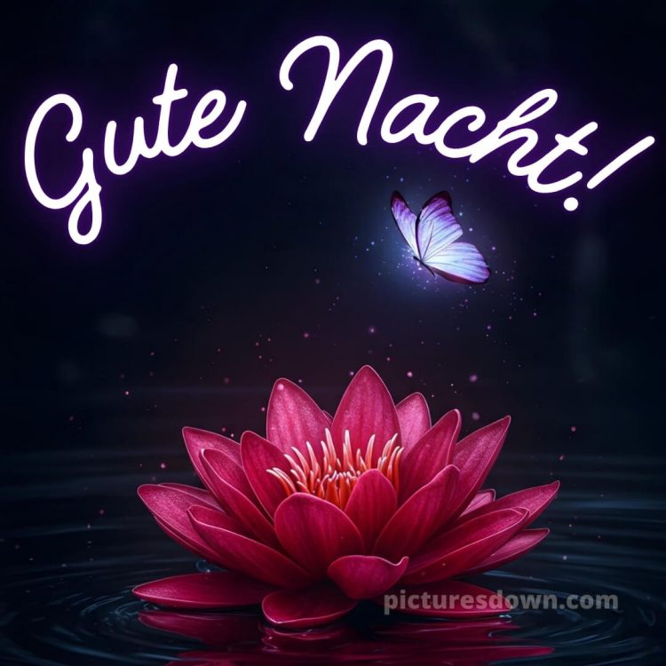 Schönen mittwoch abend und gute nacht bild 9 kostenlos