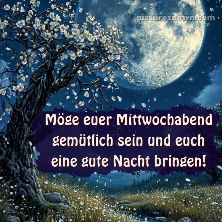 Schönen mittwoch abend und später eine gute nacht bild 1 kostenlos