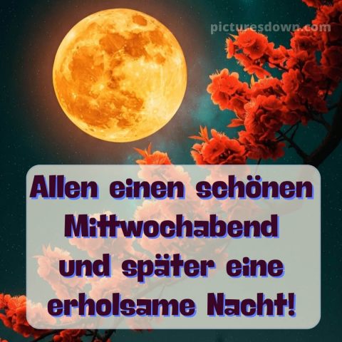 Schönen mittwoch abend und später eine gute nacht bild 3 kostenlos