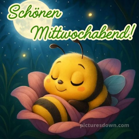 Schönen mittwoch abend und später eine gute nacht bild 4 kostenlos