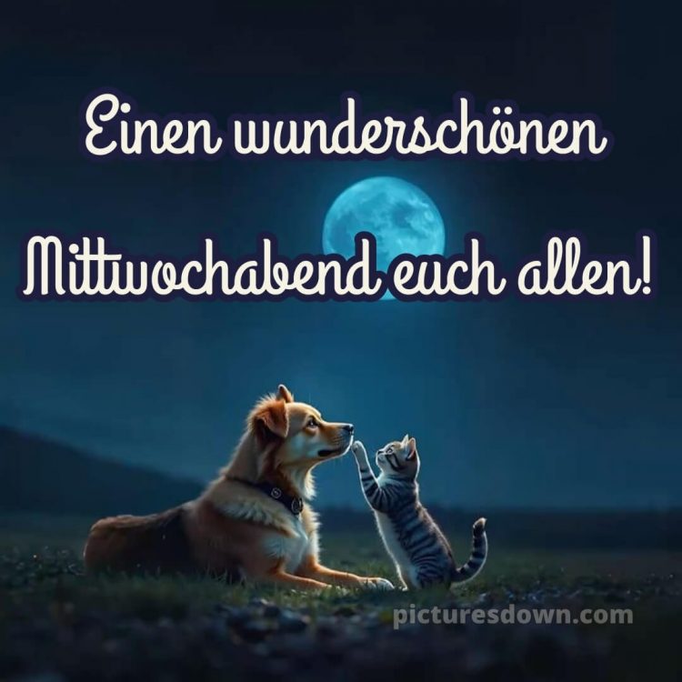 Schönen mittwoch abend und später eine gute nacht bild 6 kostenlos