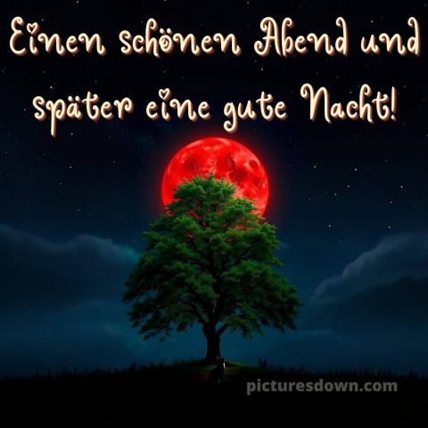 Schönen mittwoch abend und später eine gute nacht bild 7 kostenlos
