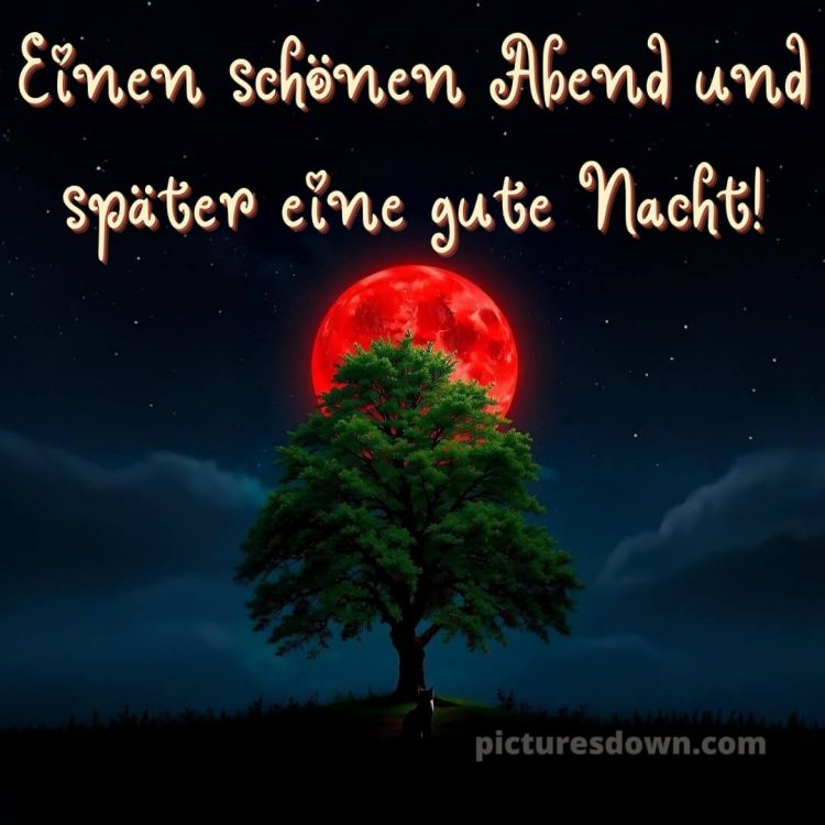 Schönen mittwoch abend und später eine gute nacht bild 7 kostenlos