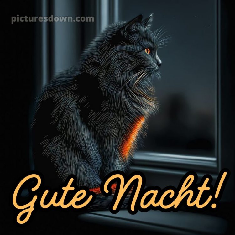 Schönen mittwoch abend und später gute nacht bild 11 kostenlos