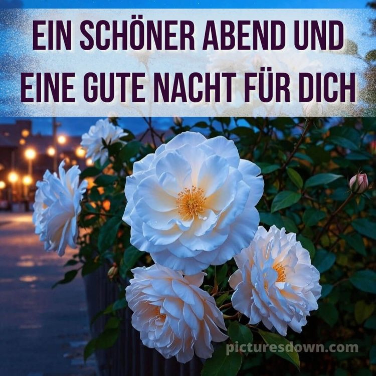 Schönen mittwoch abend und später gute nacht bild 14 kostenlos