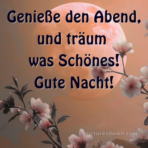 Schönen mittwoch abend und später gute nacht bild 4 kostenlos