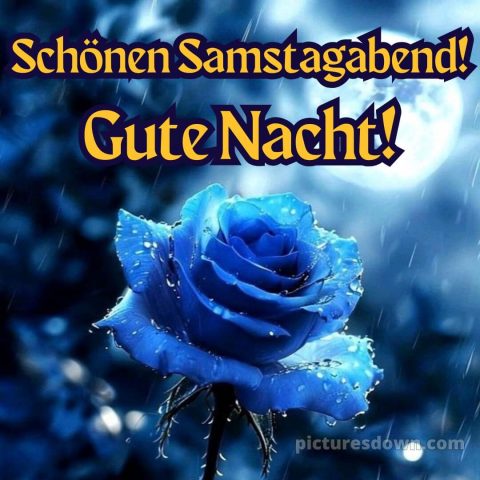 Schönen samstag abend und später eine gute nacht bild 12 kostenlos