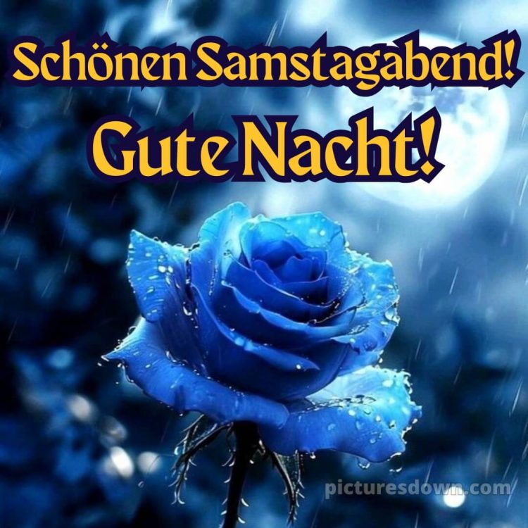 Schönen samstag abend und später eine gute nacht bild 12 kostenlos