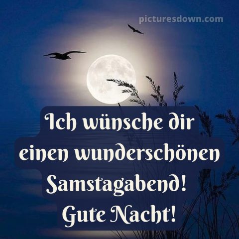 Schönen samstag abend und später eine gute nacht bild 4 kostenlos