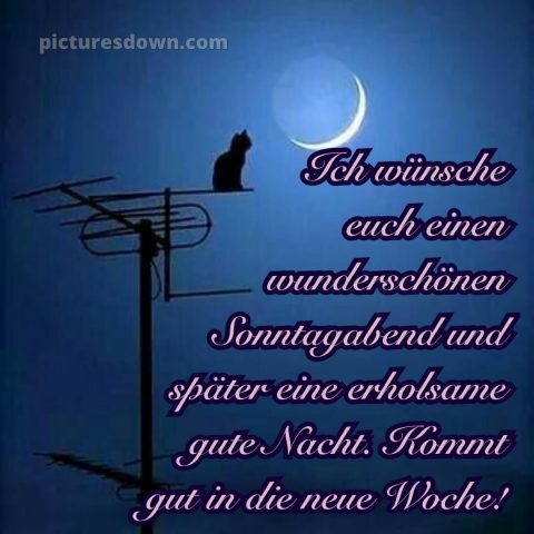 Schönen sonntag abend und später eine gute nacht bild 10 kostenlos