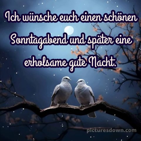 Schönen sonntag abend und später eine gute nacht bild 12 kostenlos