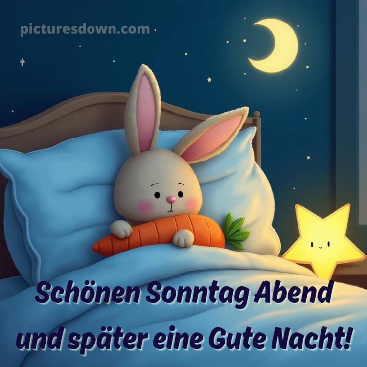 Schönen sonntag abend und später eine gute nacht bild 15 kostenlos
