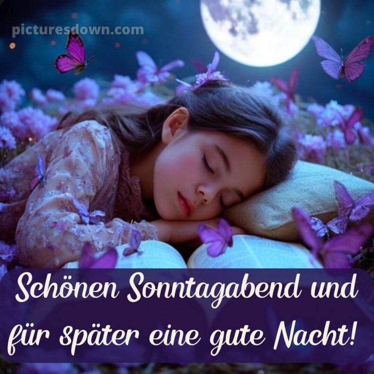 Schönen sonntag abend und später eine gute nacht bild 3 kostenlos
