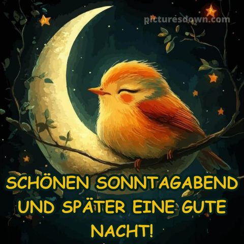 Schönen sonntag abend und später eine gute nacht bild 6 kostenlos