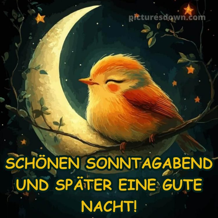 Schönen sonntag abend und später eine gute nacht bild 6 kostenlos