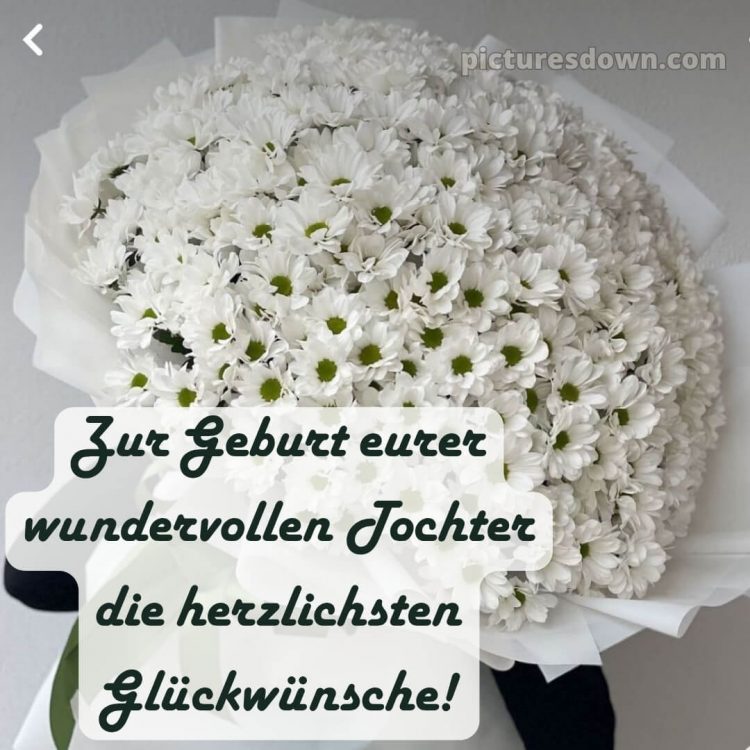 Glückwunsch zur geburt mädchen bild 10 kostenlos