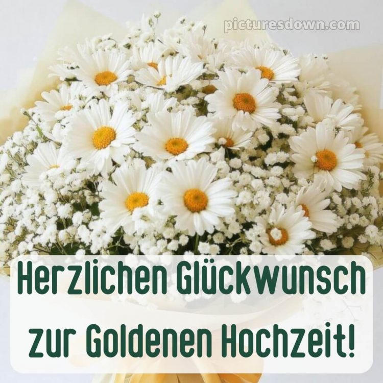 Glückwunsch zur goldenen hochzeit bild 2 kostenlos