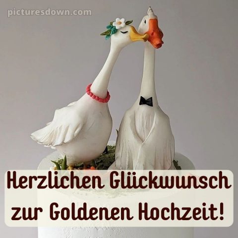 Glückwunsch zur goldenen hochzeit bild 8 kostenlos