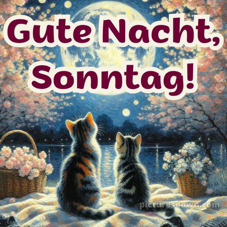 Gute nacht sonntag bild 12 kostenlos