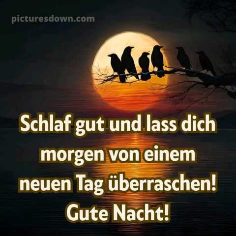 Gute nacht sonntag bild 14 kostenlos