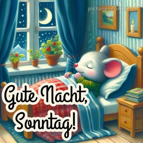 Gute nacht sonntag bild 4 kostenlos
