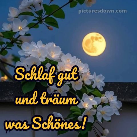 Gute nacht sonntag bild 5 kostenlos