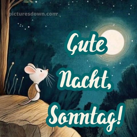 Gute nacht sonntag bild 6 kostenlos